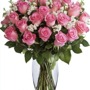 24 Pink Roses