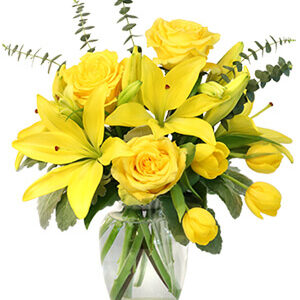 SUNSHINE OF SPRING