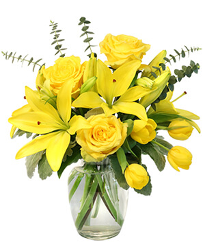 SUNSHINE OF SPRING