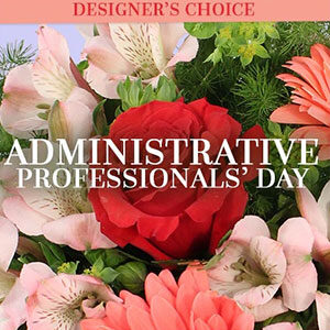 ADMIN PROFESSIONAL'S
