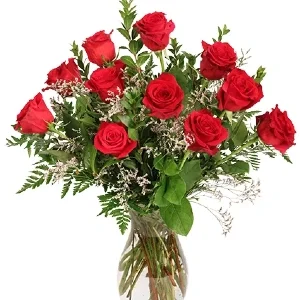 BURNING RED ROSES