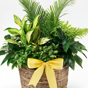 Green Flowers