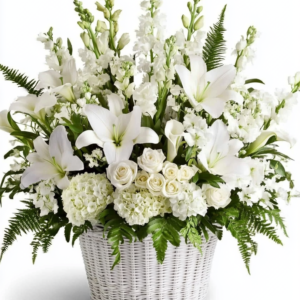 Sympathy Plants