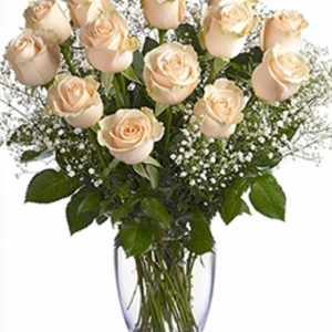 Enchanted Roses