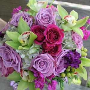 MARRY MAUVE
