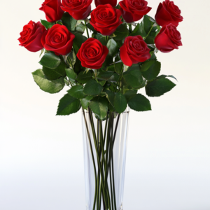 One Dozen Red Roses