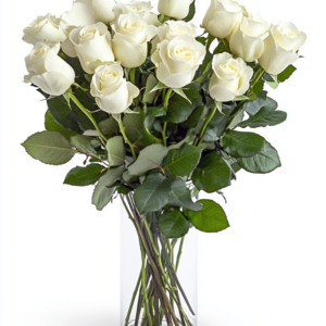 One Dozen White Roses