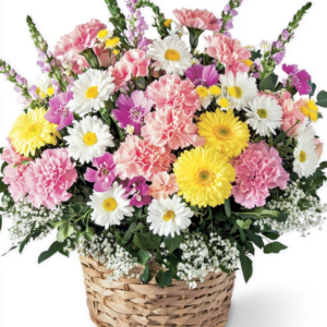 Vibrant and Lively Carnations