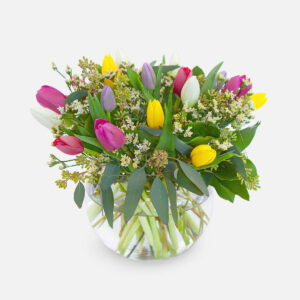 Multicolor Tulip Garden + PlantShed Coffee